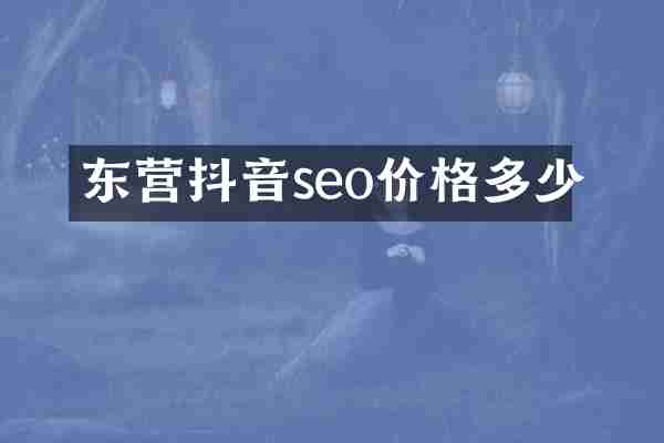 东营抖音seo价格多少