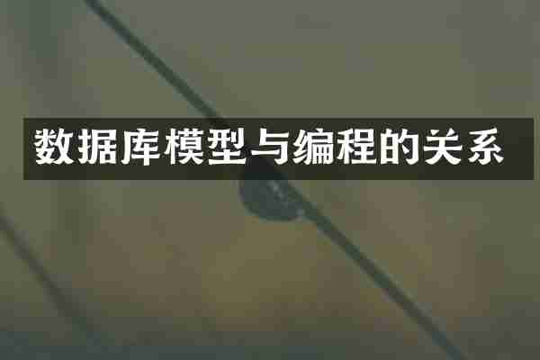数据库模型与编程的关系