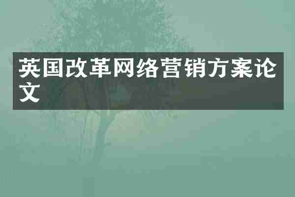 英国改革网络营销方案论文