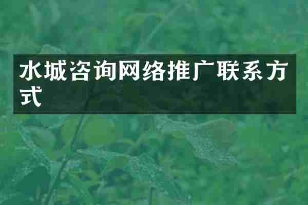 水城咨询网络推广联系方式