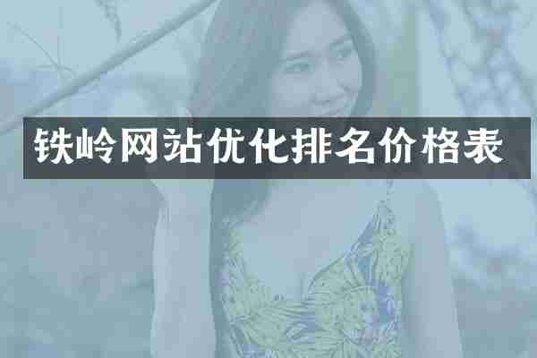 铁岭网站优化排名价格表