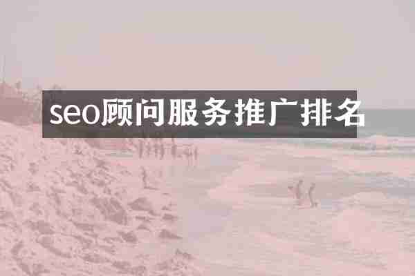 seo顾问服务推广排名