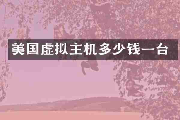 美国虚拟主机多少钱一台
