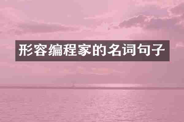 形容编程家的名词句子