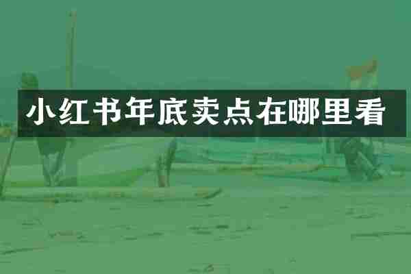 小红书年底卖点在哪里看