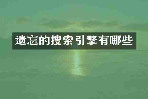 遗忘的搜索引擎有哪些