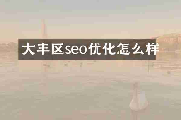 大丰区seo优化怎么样