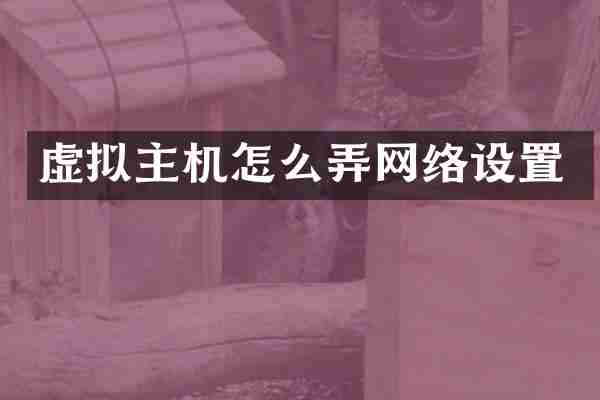 虚拟主机怎么弄网络设置