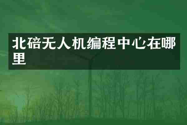 北碚无人机编程中心在哪里