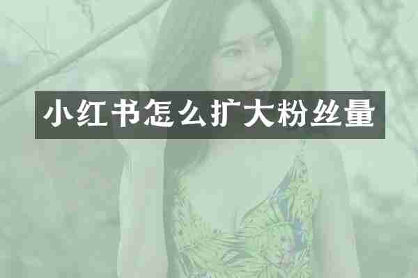 小红书怎么扩大粉丝量