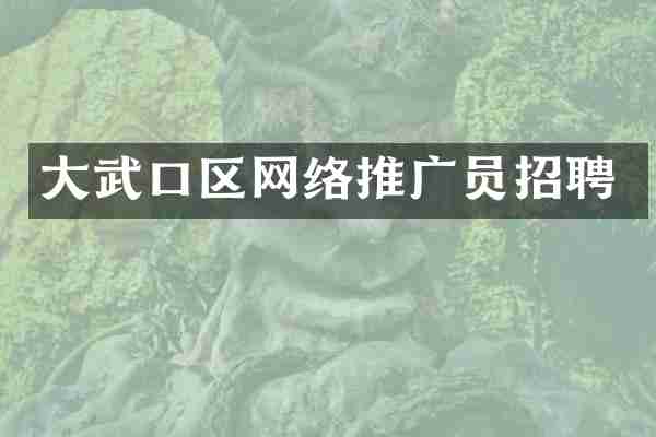 大武口区网络推广员招聘