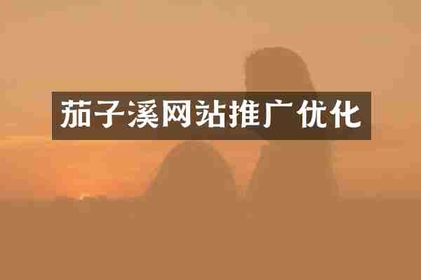 茄子溪网站推广优化