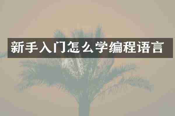 新手入门怎么学编程语言