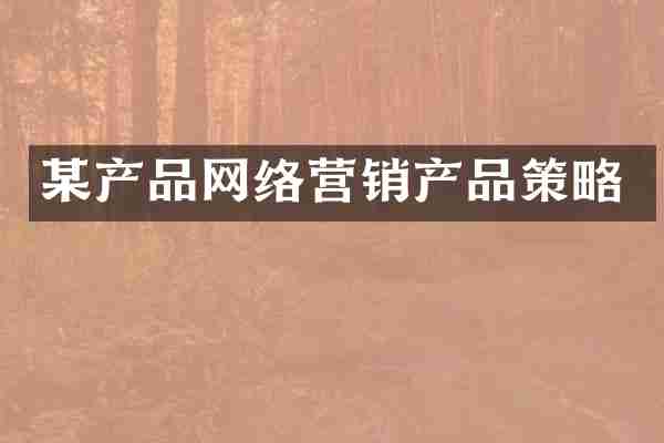 某产品网络营销产品策略