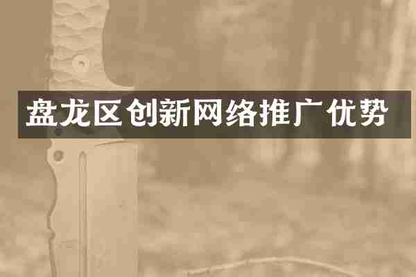 盘龙区创新网络推广优势