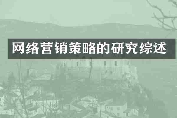 网络营销策略的研究综述