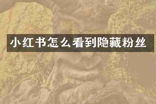 小红书怎么看到隐藏粉丝