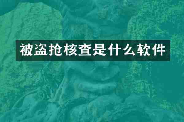 被盗抢核查是什么软件