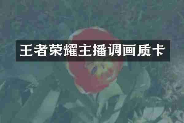 王者荣耀主播调画质卡