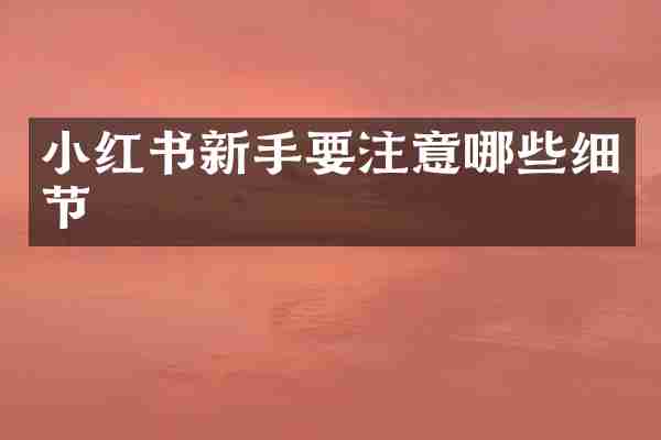 小红书新手要注意哪些细节