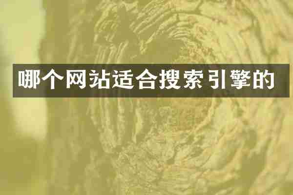 哪个网站适合搜索引擎的