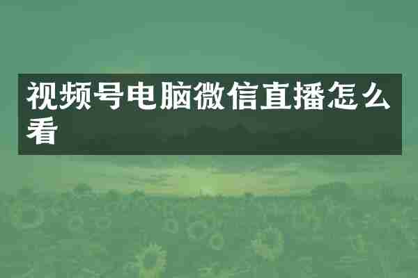 视频号电脑微信直播怎么看