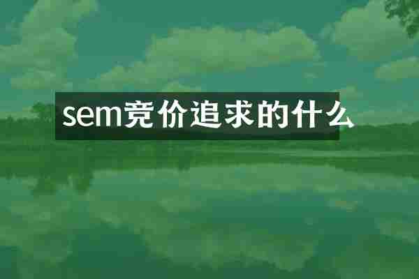 sem竞价追求的什么