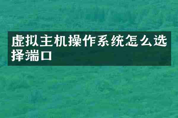 虚拟主机操作系统怎么选择端口
