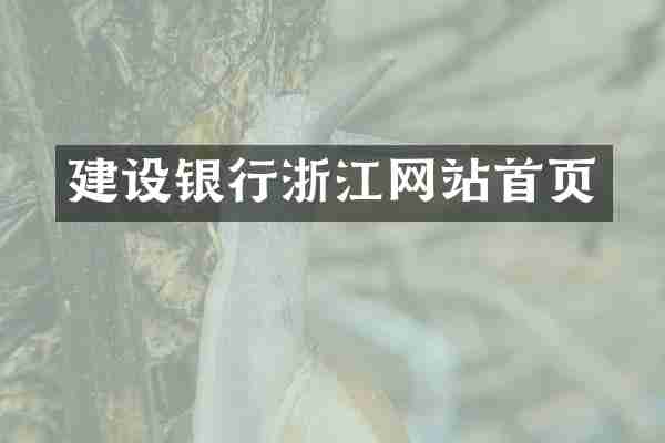 建设银行浙江网站首页