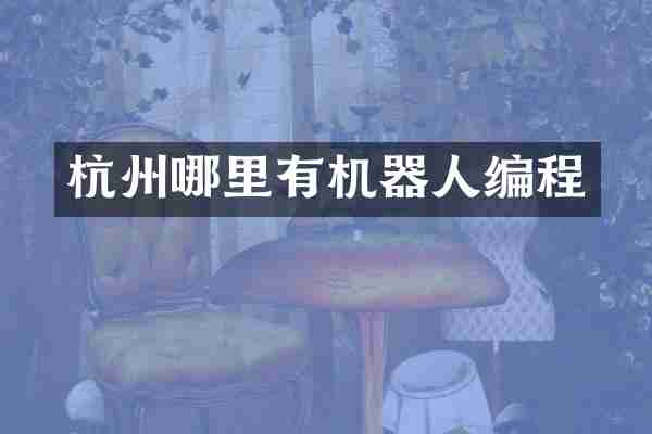 杭州哪里有机器人编程