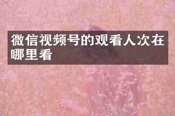 微信视频号的观看人次在哪里看