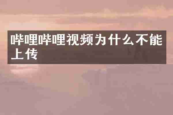 哔哩哔哩视频为什么不能上传