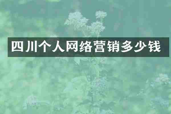 四川个人网络营销多少钱