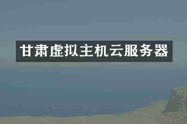 甘肃虚拟主机云服务器