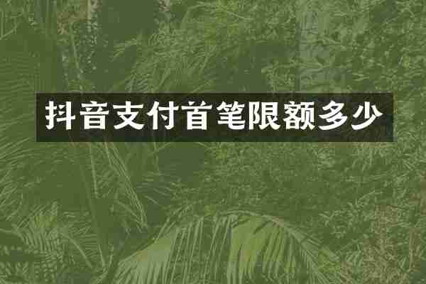 抖音支付首笔限额多少