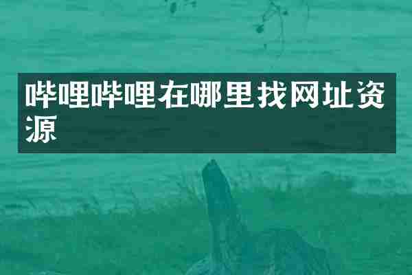 哔哩哔哩在哪里找网址资源