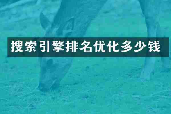 搜索引擎排名优化多少钱