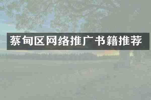 蔡甸区网络推广书籍推荐