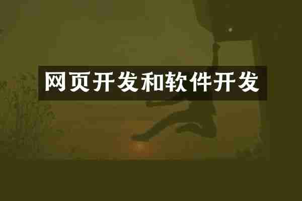 网页开发和软件开发