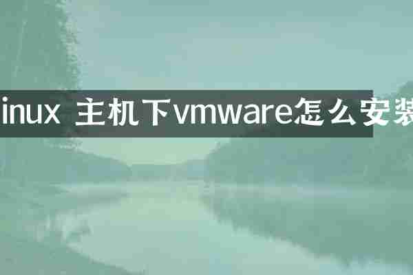 linux 主机下vmware怎么安装