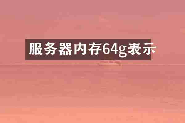 服务器内存64g表示