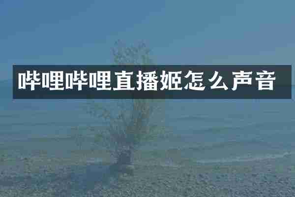 哔哩哔哩直播姬怎么声音