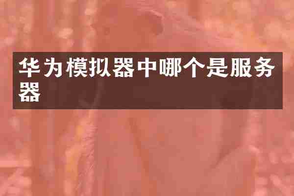 华为模拟器中哪个是服务器