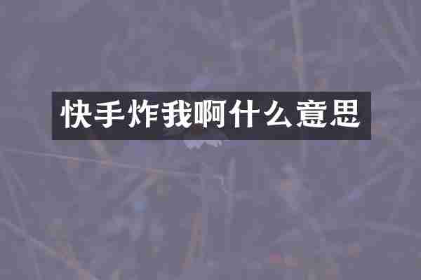 快手炸我啊什么意思