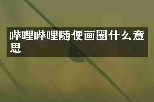 哔哩哔哩随便画圈什么意思
