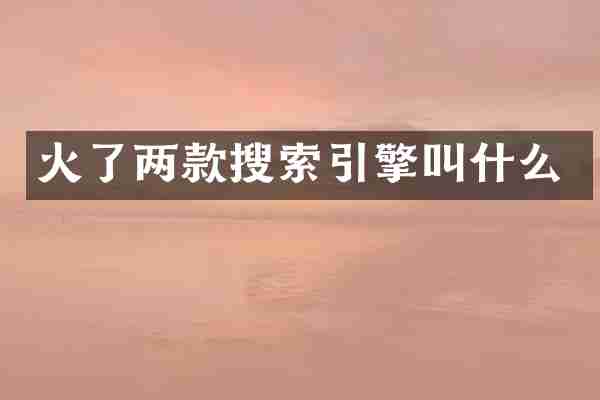火了两款搜索引擎叫什么