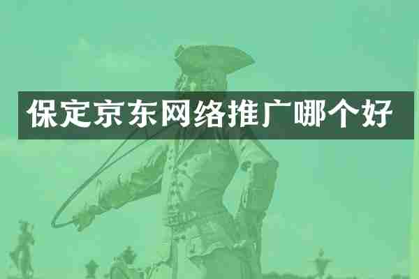 保定京东网络推广哪个好