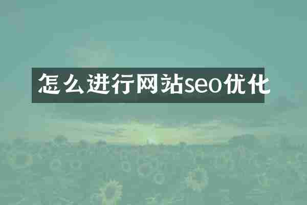 怎么进行网站seo优化