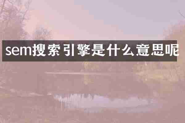 sem搜索引擎是什么意思呢