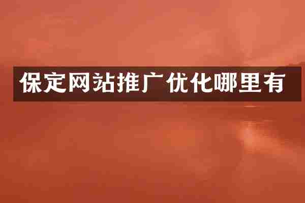 保定网站推广优化哪里有